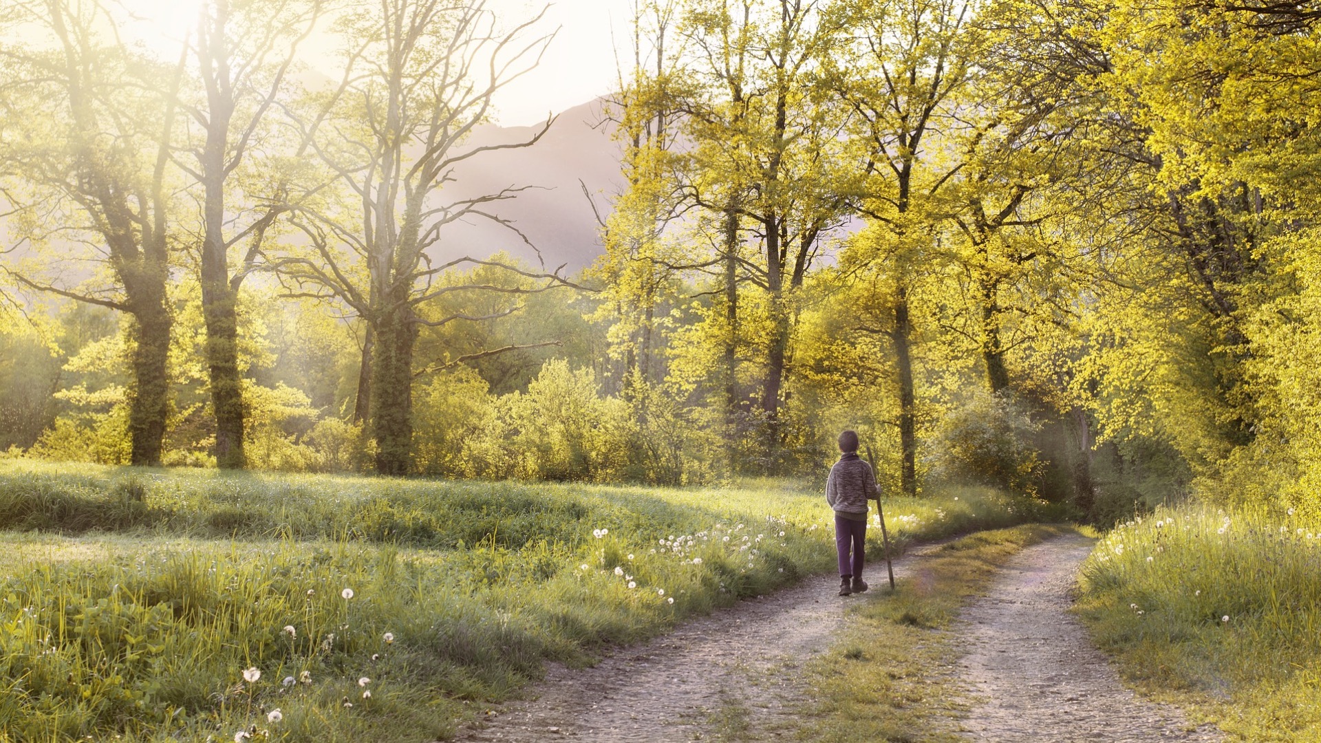 Walk