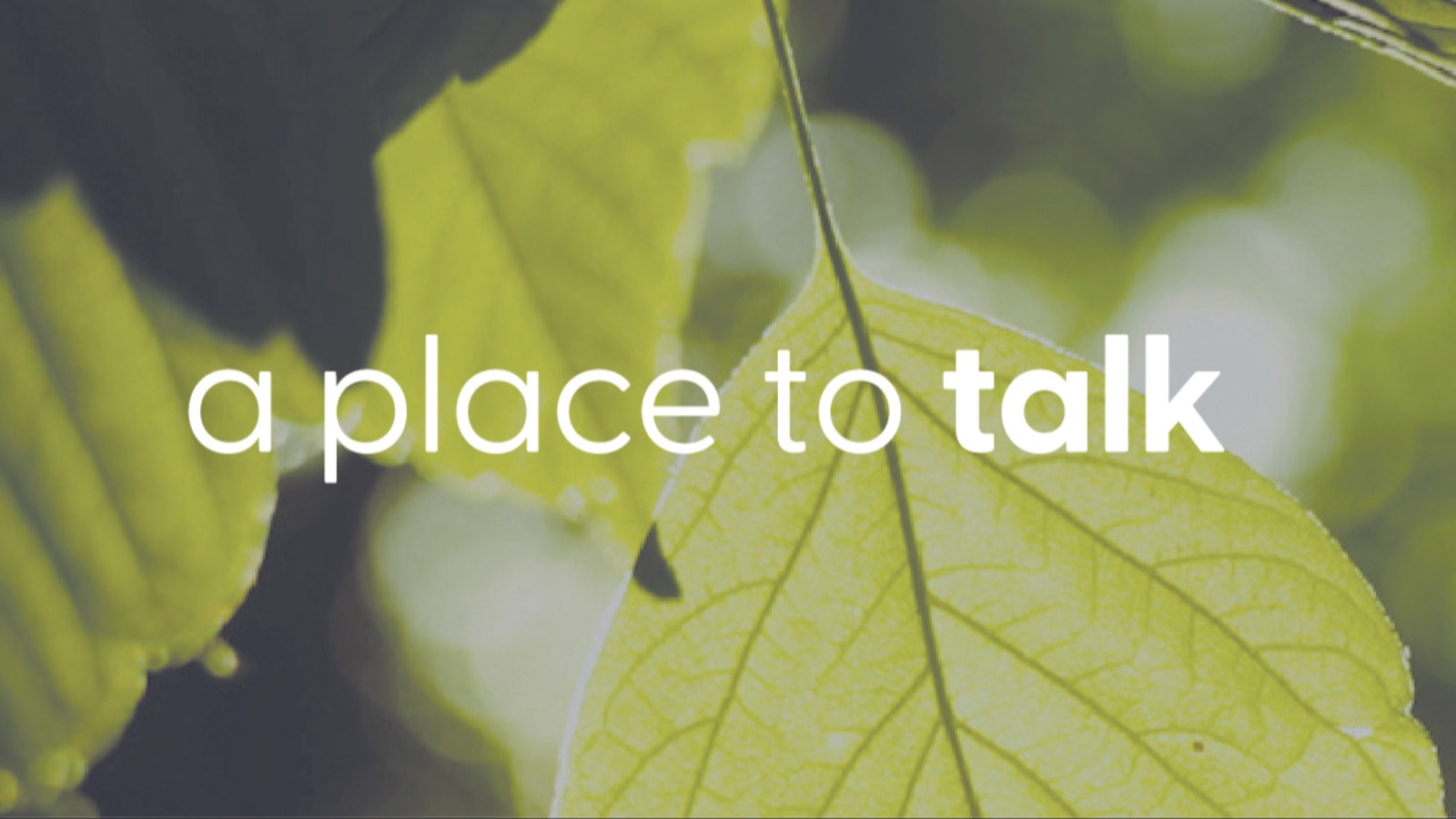 TBJ Twitter cover image