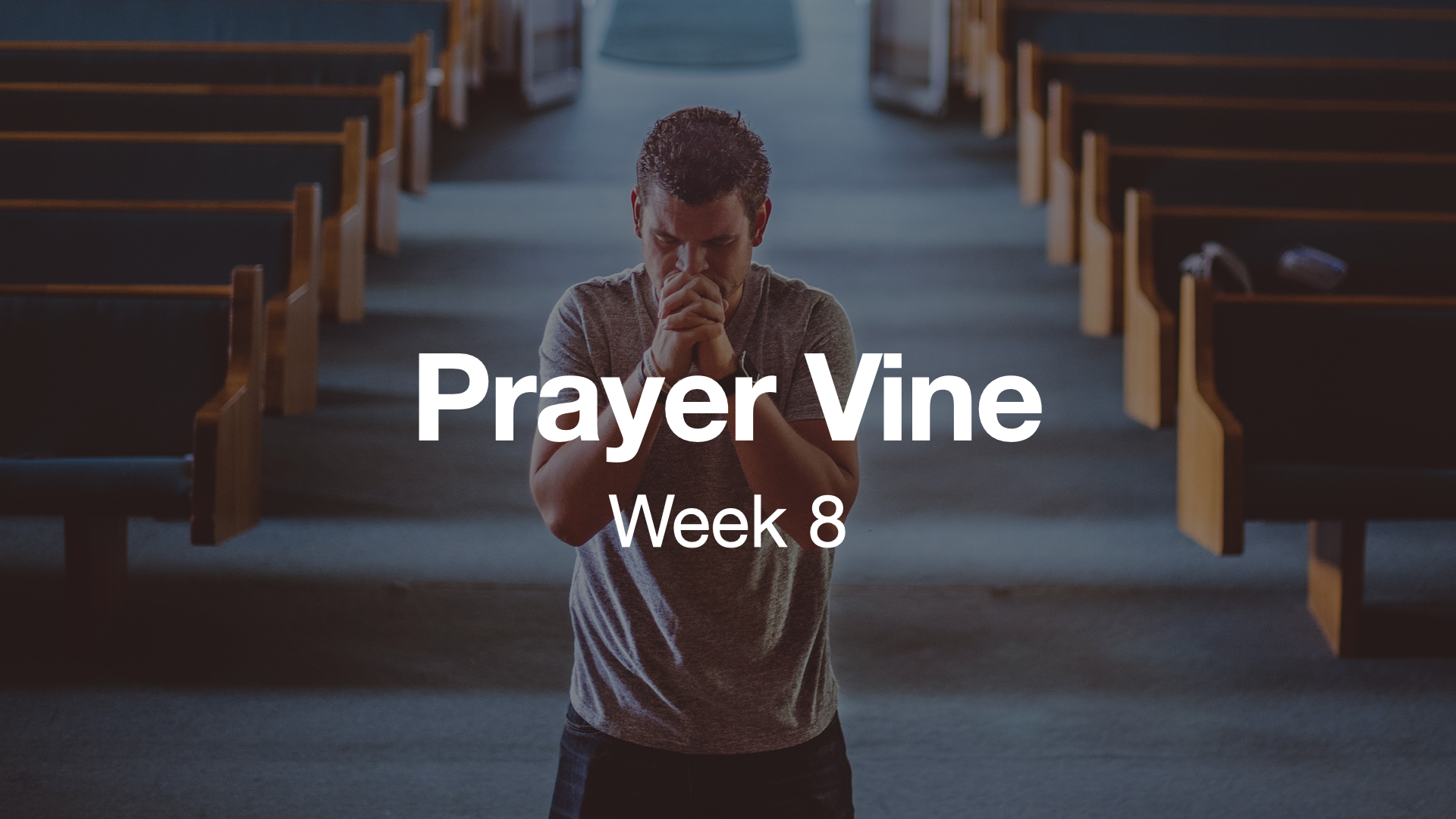 2025 Prayer Vine Weeks.008