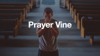 Prayer Vine